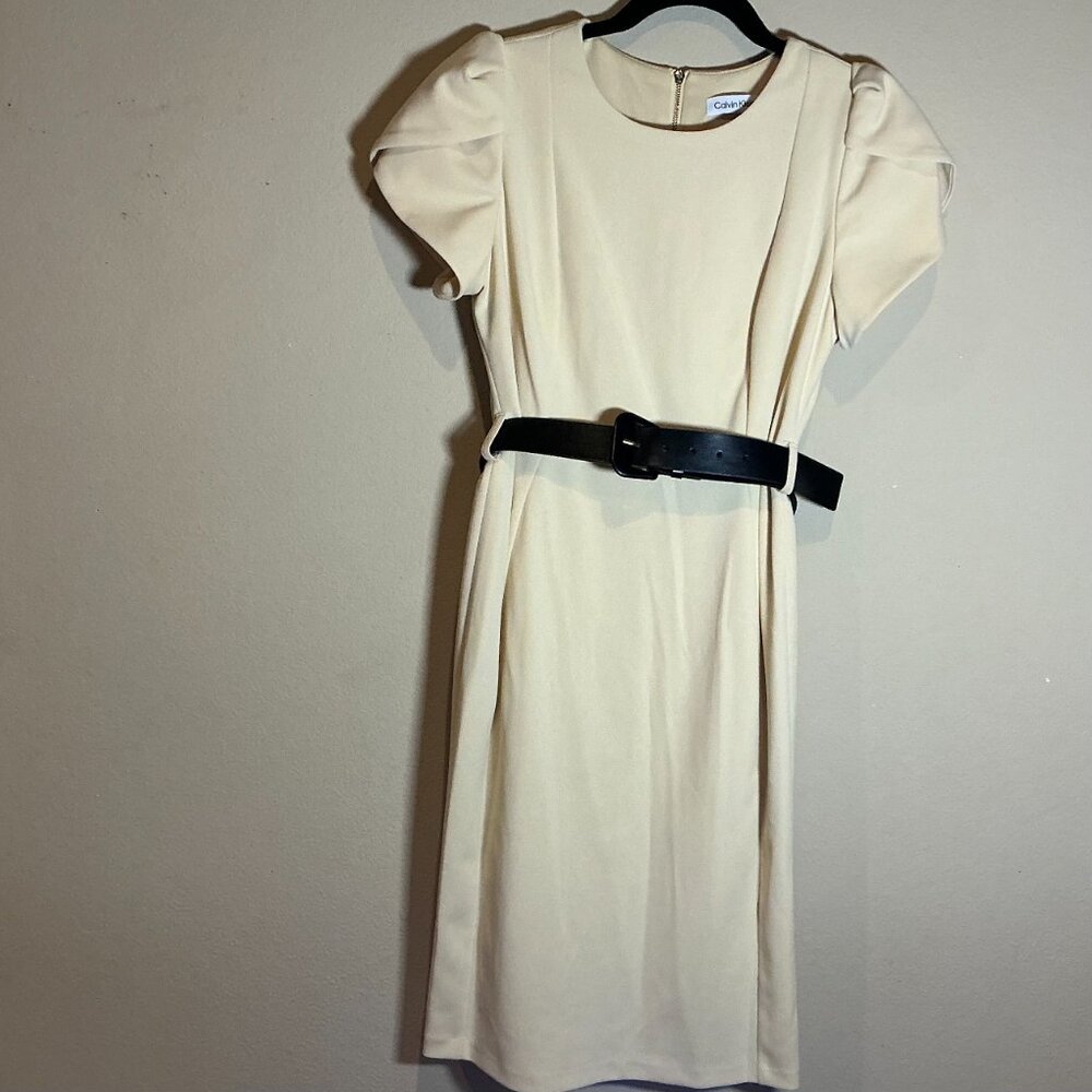 Calvin Klein Women's Short Sleeve Dress with Black belt, size 6